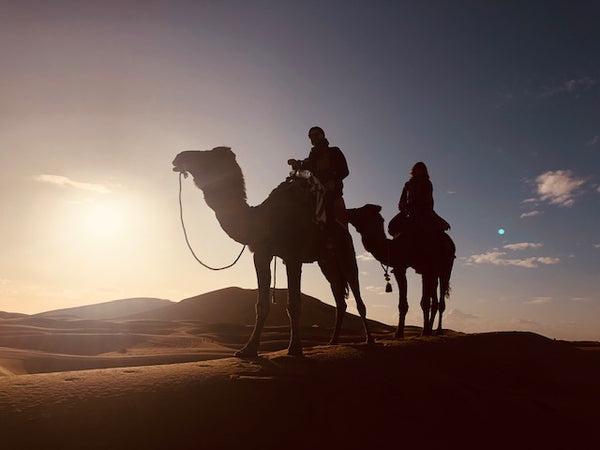 Seek Journeys: Sara in Morocco