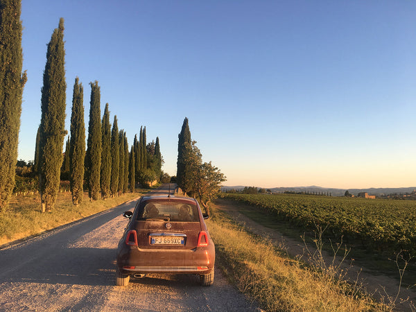 Seek Journeys: Finding Simplicity and Rest in Tuscany
