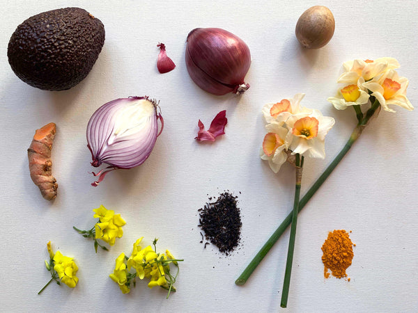Seek DIY: Natural Dyes at Home